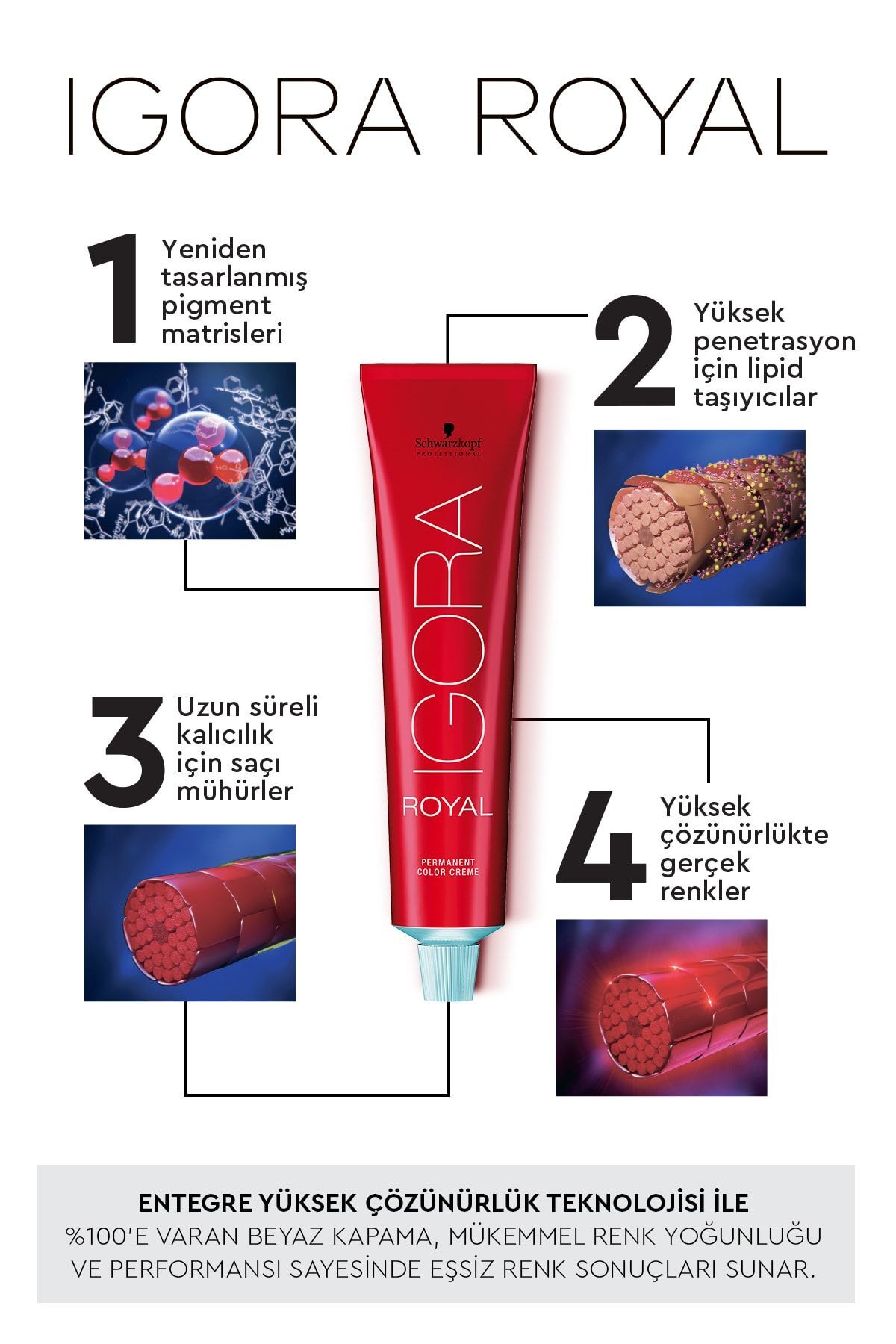 Igora Koyu Kumral Çikolata Mat Royal 6-63 Saç Boyası 4045787207002