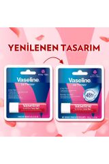 Lip Therapy Dudak Bakım Kremi Rosy Lips 4.8 gr