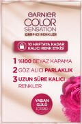 Çarpıcı Renkler, 111 Ekstra Açık Gümüş Sarısı, Kalıcı Krem Saç Boyası, Demikit