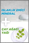 Garnier Men Saf ve Temiz Aerosol
