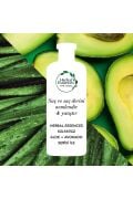 Herbal Essences Pure Aloe Avacado Oıl 100ml