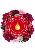 Otomatik Sprey Yedek Meyve ve Çiçek Buketi 269 ml 1 Yedek