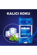 Deo Jel Cool Wave 70 Ml