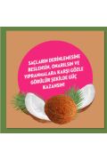 Hindistan Cevizi Yağı Şampuan 400 ml